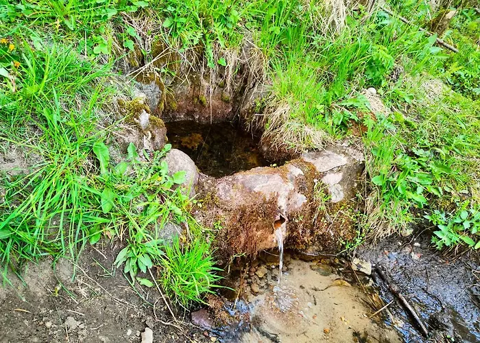 Na Zaciszu Willa Cierzpiety